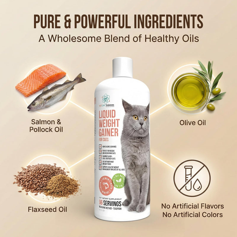 Liquid Cat Weight Gainer 16oz - High Calorie Cat Food Appetite Stimulant - Weight Gain for Cats Appetite Stimulant – High Calorie Supplement for Cats - Salmon Flavor - USA Made