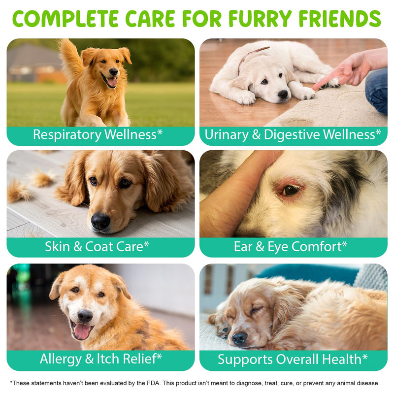 Antibiotics for Dogs, Itchy Skin Soother for Dogs | Allergy & Discomfort Relief & Skin & Immune Support Drops with Natural Bacon Flavor, Easy-to-Use, 60ml