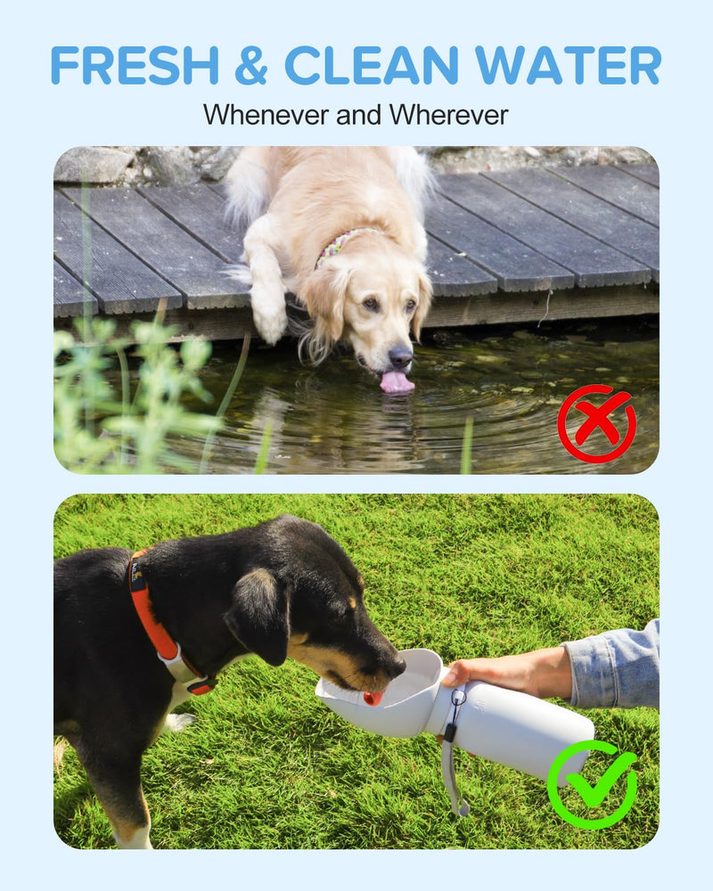 Dog Water Bottle,Leak Proof Portable Travel Pet Water Bottle, Foldable Lightweight Dog Water Dispenser Drinking Bowl for Dogs,Puppy,Pets, On The Go for Outdoor Walking,Hiking,Travel (19oz) - BeesActive Australia