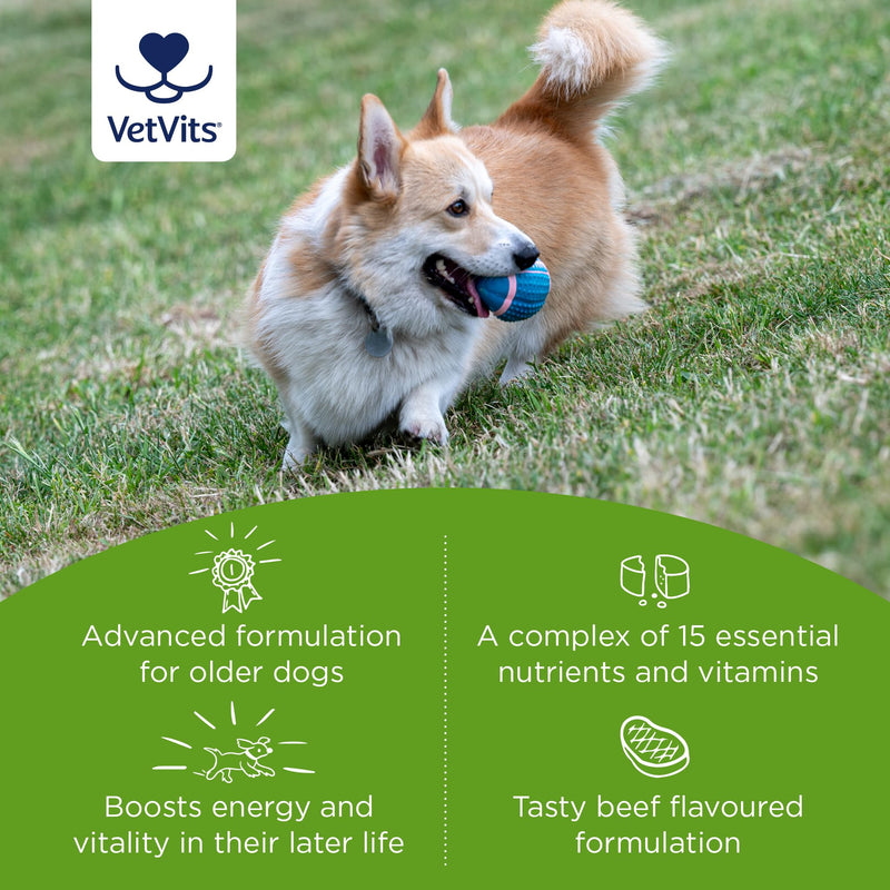 Multivitamin Senior (120 tablets) | Senior Advanced multivitamin for older dogs | Boosts energy and wellbeing | 15 essential nutrients | For energy, heart, joints and vitality