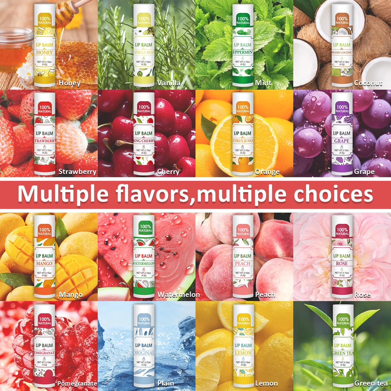 32 Pack Lip Balm, Natural Lip Balm Bulk with Vitamin E and Coconut Oil, Bulk Lip Balms for Dry Lips-16 Flavors B-32P - BeesActive Australia
