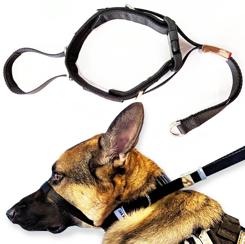 Dog Headcollar for Pulling Dogs, No-Pull Dog Collar for Large or Small Dogs. Makes Your Walking Easy and Peaceful. Stops Pulling, Lunging, Jumping; Dog Headcollar No Pull (M) Medium (M) - BeesActive Australia