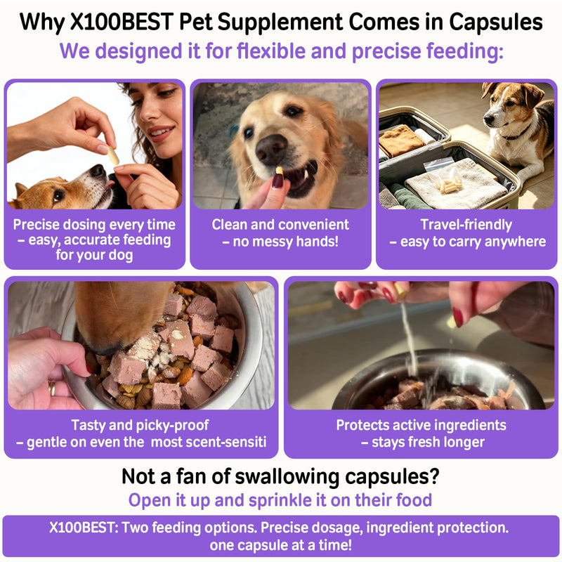 Probiotics for Dogs, 4 Digestive Enzymes & 11 Probiotics Blend, Supports Pet Gut Health, Itchy Skin & Yeast Issues Relief, Sensitive Stomach, Digestion & Immune System, 80 Capsules