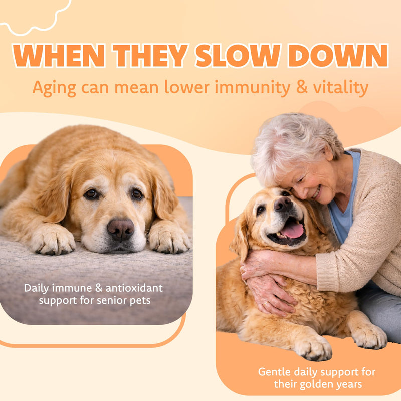 LOVITA Pets Senior Wellness Capsules for Dogs & Cats, with NMN, Resveratrol, Taurine, and PRALISUR Beta-Glucan, Daily Nutritional Support for Aging Pets, 60 Capsules