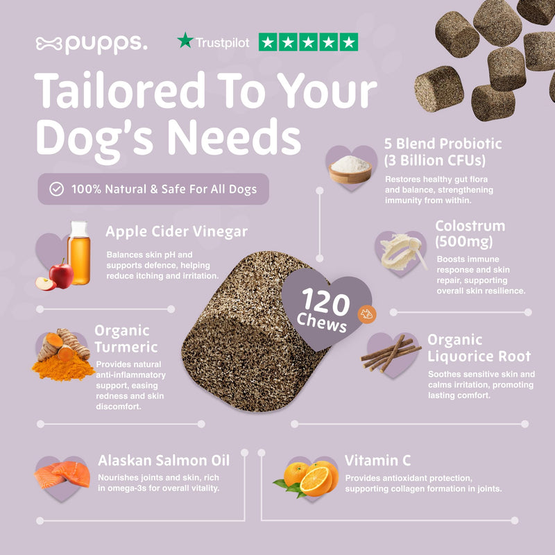 Pupps Itch Relief Dog Treats – 120 Natural Anti-Itch Chews for Dogs | Soothes Itchy Skin, Paws & Ears | With Colostrum, Turmeric & Salmon Oil | Allergy & Skin Support | Vet Approved, UK Made 120 x Chews