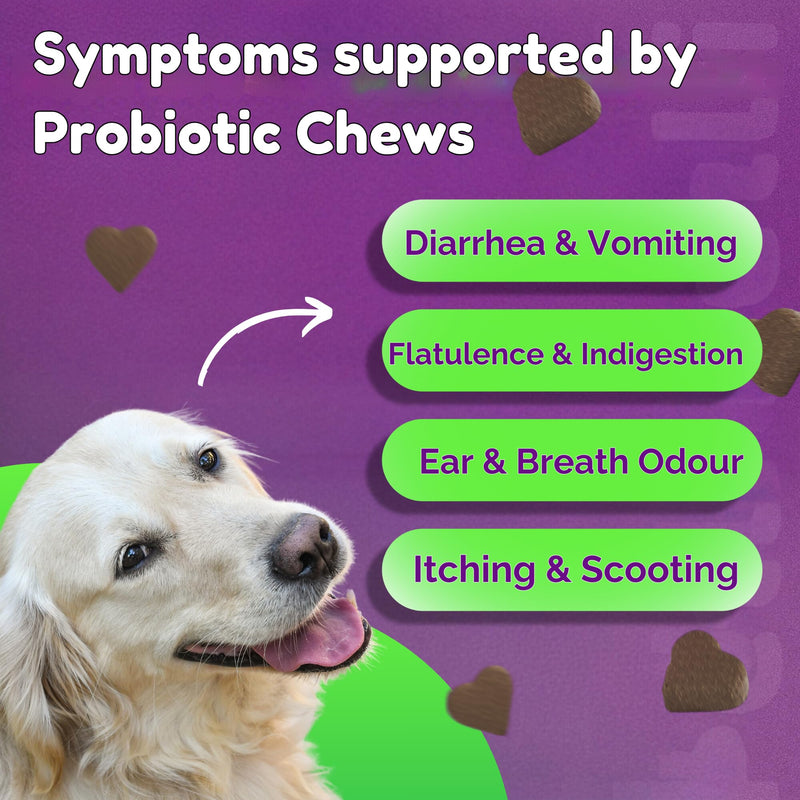 PROBIOTIC CHEWS - dog probiotics for gut health - digestive enzymes for dogs - Improve digestion, reduce diarrhea, itching and discomfort and eliminate foul odours. 120 Chews per tub