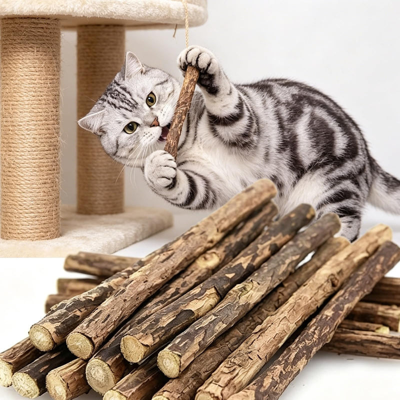 25 Pack Silvervine Chew Sticks for Cats, Natural Matatabi Silvervine 7-10mm Dental Chews for Teeth Cleaning, Indoor Cat Toys Dental Care, Organic Kittens Adult Cat Treats