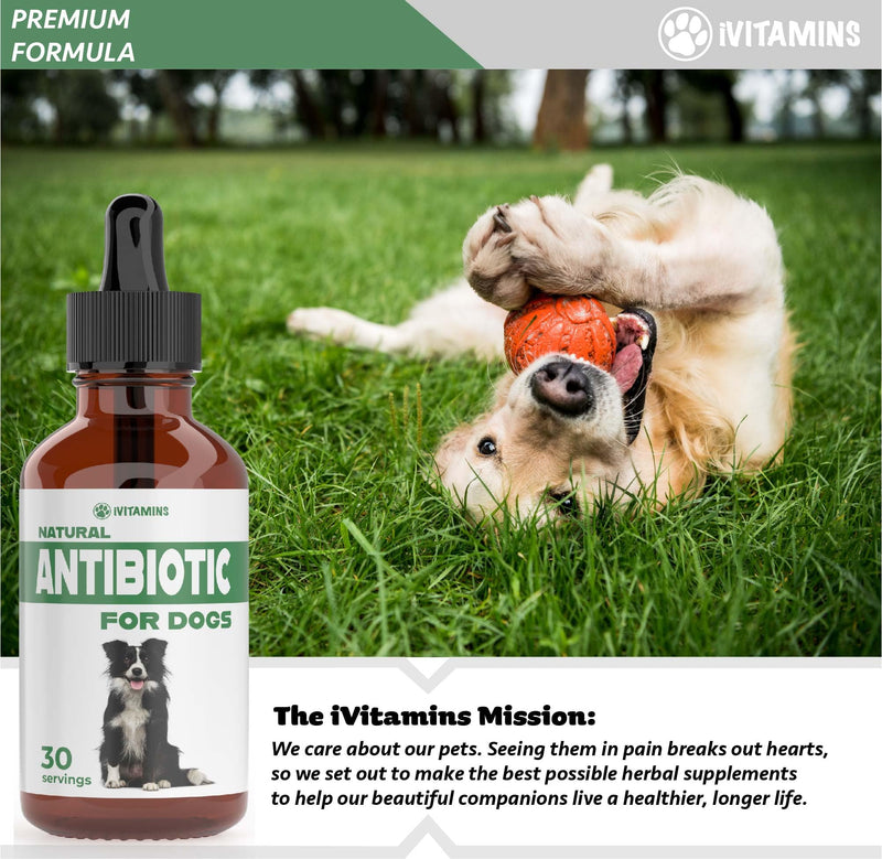 Natural Dog Antibiotics - Antibiotics for Dogs - Antibiotic for Dog - Yeast Infection Treatment for Dogs - Dog Yeast Infection Treatment - Itch Relief for Dogs - 1 fl oz - Bacon Flavor - PawsPlanet Australia