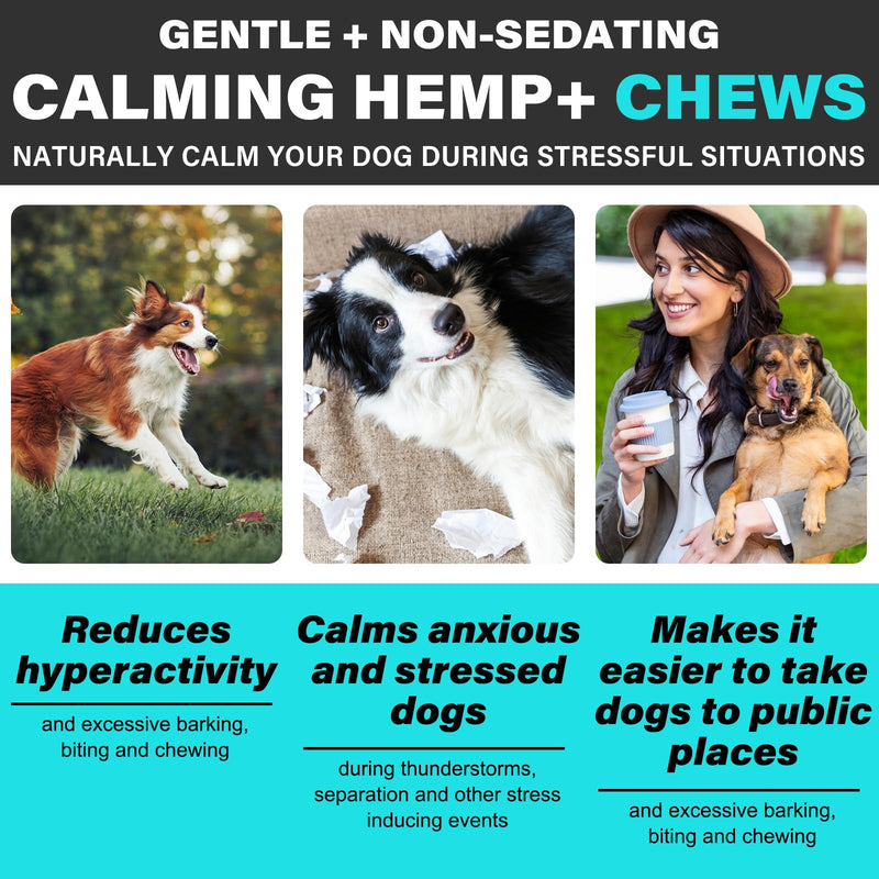 Calming Dog Treats 110 Count, Beef Flavored Hemp Calming Chews for Dogs, Helps with Dog Anxiety, Separation, Barking, Stress Relief, Sleep Calming Aid, for All Breeds & Sizes
