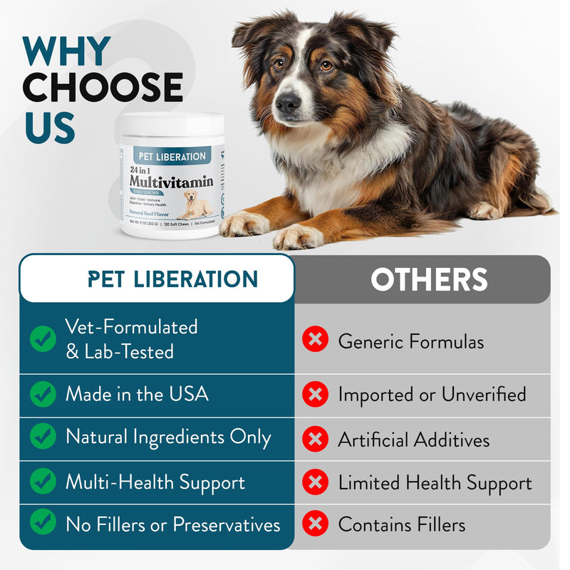 24-in-1 Daily Multivitamin for Dogs – 120 Soft Chews – Hip & Joint Support, Probiotics, Salmon Oil, Cranberry for Urinary Health, Skin & Coat, Immune Support – for All Breeds & Ages