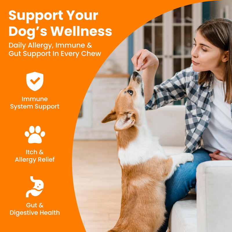 Dog Allergy and Probiotic Chews - 120 Allergy Chews for Dogs - Anti Itch Support for Pets Itchy Skin Relief Skin Health Support with Colostrum, Vitamin C, Omega by Pet IV