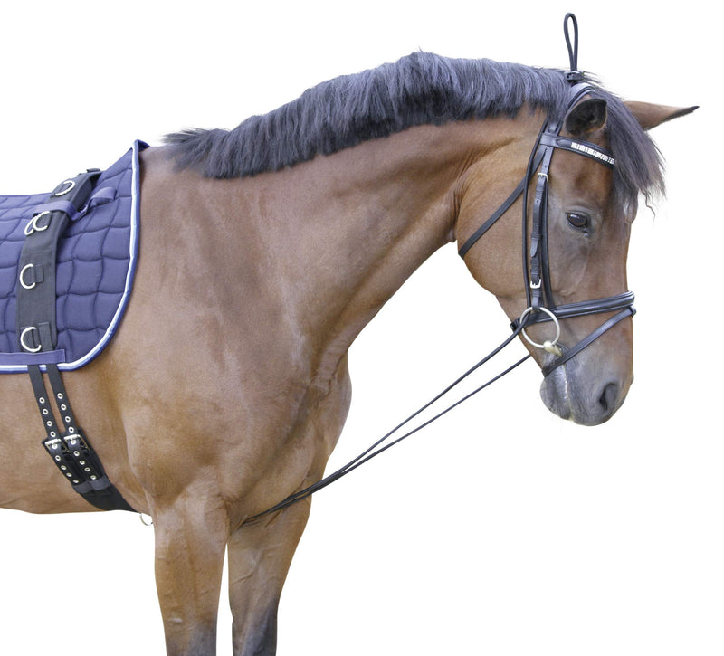 Kerbl 323600 neck extender, black, TU EU - BeesActive Australia