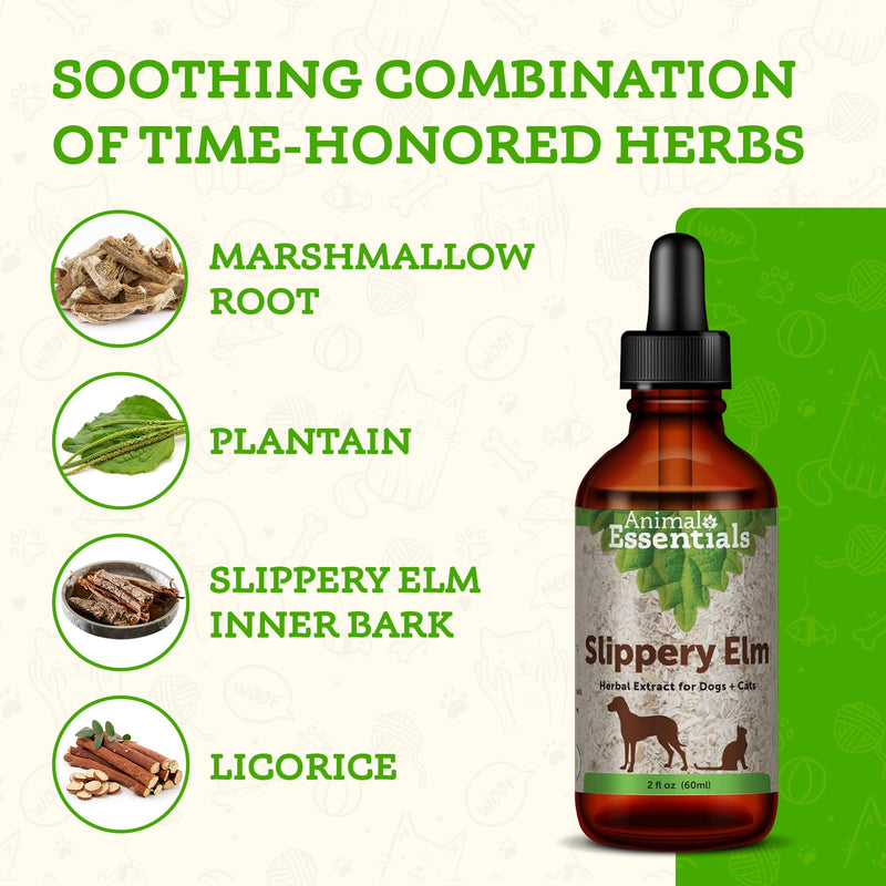 Animal Essentials Slippery Elm - Herbal Extract for Dogs and Cats, Promotes Healthy Digestion, Bowel Function, Certified Organic Herbs, All Natural, Respiratory Health, Liquid Formula - 2 Fl Oz 2 fl oz (60ml) - PawsPlanet Australia