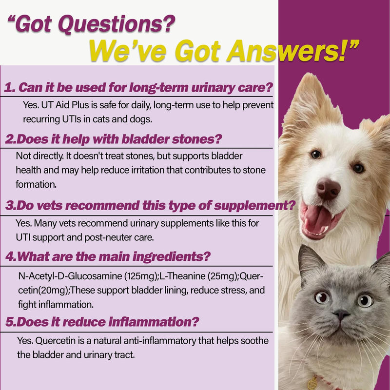 Natural UTI Treatment for Cats & Dogs – Antibiotic-Free Urinary Tract Infection Support Supplement – Bladder & Kidney Health – Incontinence Prevention – 30 Capsules