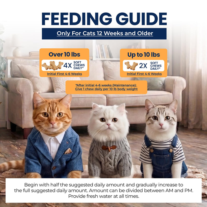 Hip & Joint Soft Chews for Cats, Glucosamine + Chondroitin + MSM, Joint Support & Mobility, Cartilage & Flexibility Support, 60 Soft Chews Tuna Flavor Hip & Joint