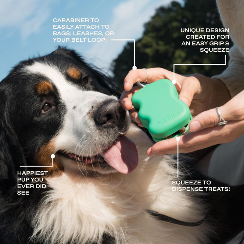 Springer Dog Treat Pouch for Effort-Free Squeeze Dispensing - Easy-fill, Food-Grade Silicone Treat Pouches for Pet Training - Includes Carabiner-Black Black - BeesActive Australia