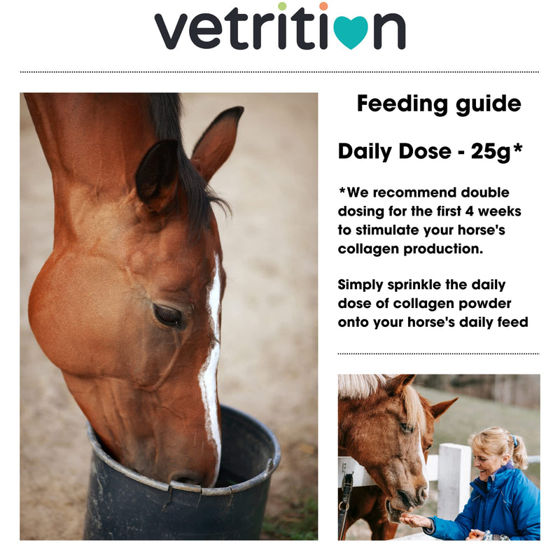 Everyday Collagen Powder for Horses, Bioactive Equine Collagen Peptide Powder, Vet Approved Horse Advanced Joint Supplement for Mobility, Skin & Muscle, All Breeds and Ages (750g)