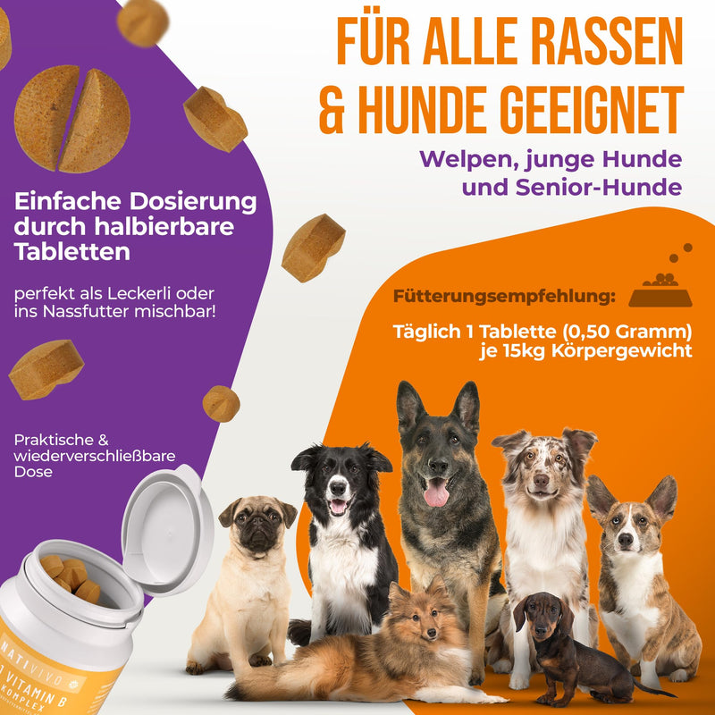 NatiVivo® Premium Dog K1 Vitamin B Complex high dosage including B12 and folic acid. Strong nerves through everyday life! Tablets Made in Germany! Dog - BeesActive Australia