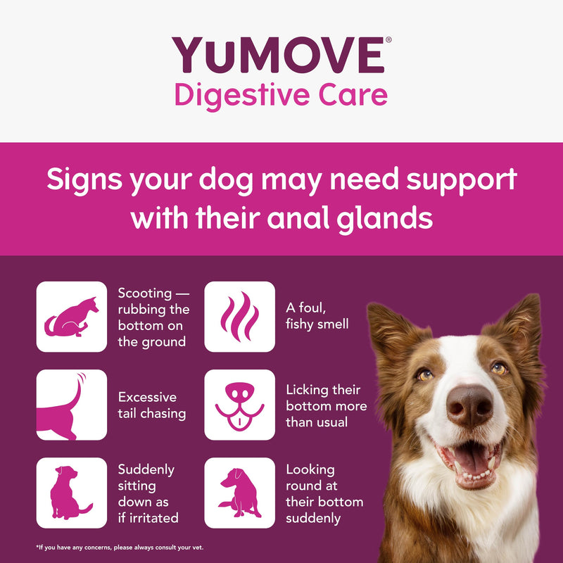 YuMOVE Digestive Care & Fibre, Dog Pre and Probiotic Supplement for Gut Health, Digestive and Anal Glande Support, All Ages and Breeds with Sensitive Digestion, 180g