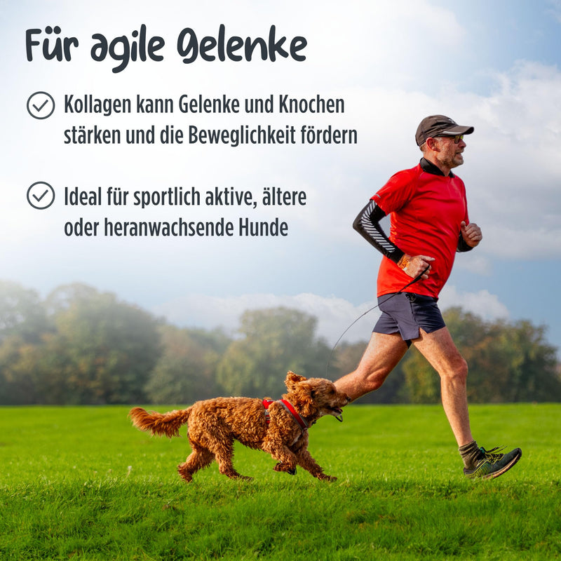 Pets PROTECT pure COLLAGEN POWDER for dogs & cats 300 g | Joint Health Dog | Collagen hydrolyzate from German production | 100% natural | Collagen with maximum nutrient density 1 piece (pack of 1) - BeesActive Australia
