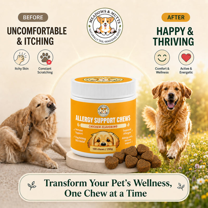 Meadows & Mutts Dog Allergy Relief Chews – Immune Support Dogs Probiotics Soft Chews - Anti Itch & Seasonal Allergy Relief - Probiotics Supplement Support Gut Health, Yeast, Skin & Coat - 100 ct