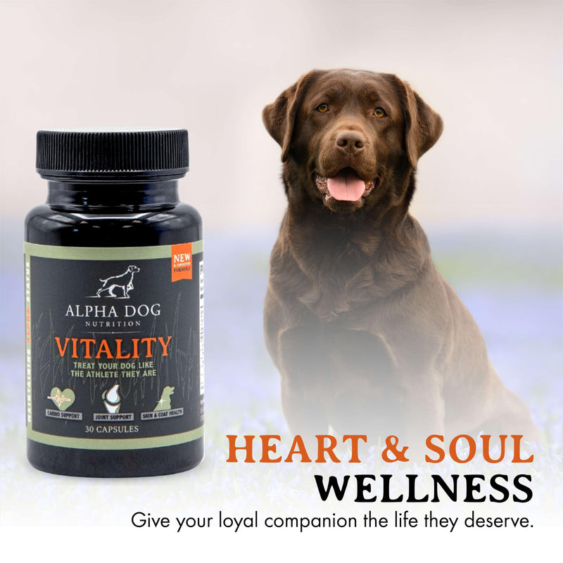 Krill Oil for Dogs - Vitality by Alpha Dog Nutrition – Reduces Dog Allergies, Itchiness, & Shedding – Promotes Healthy Skin and Coat - PawsPlanet Australia