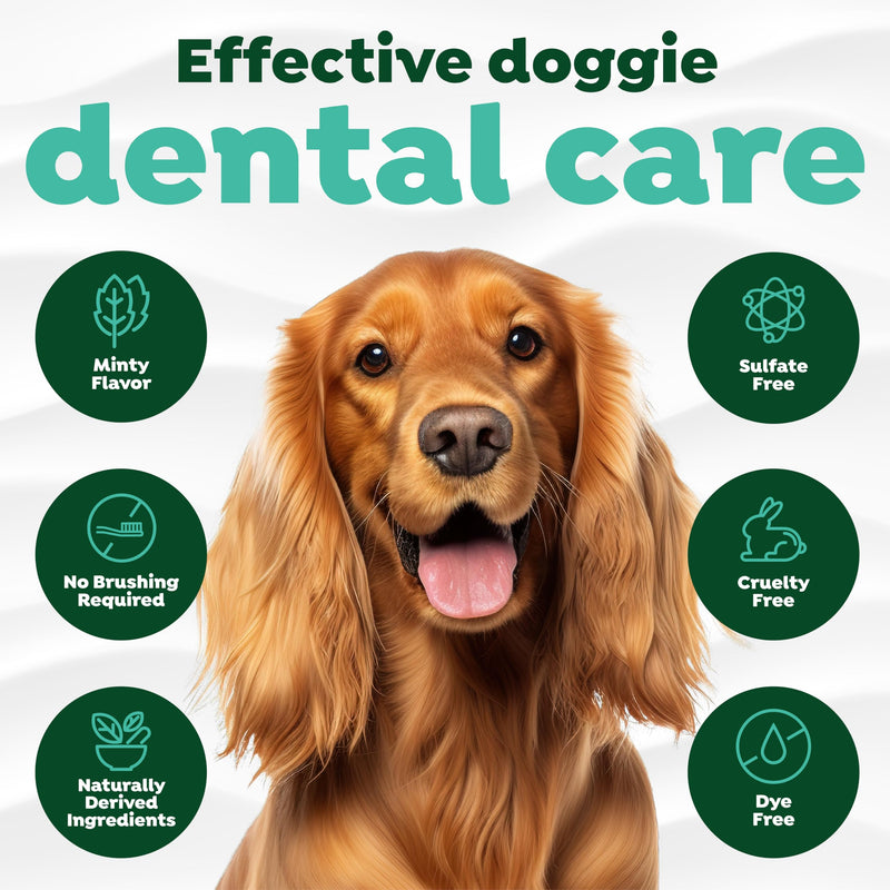TropiClean Fresh Breath Foam for Dogs & Cats | Cat & Dog Dental Foam| Dog Breath Freshener Foam| Oral Care for Dogs & Cats | Made in The USA | 4.5 oz﻿ - BeesActive Australia