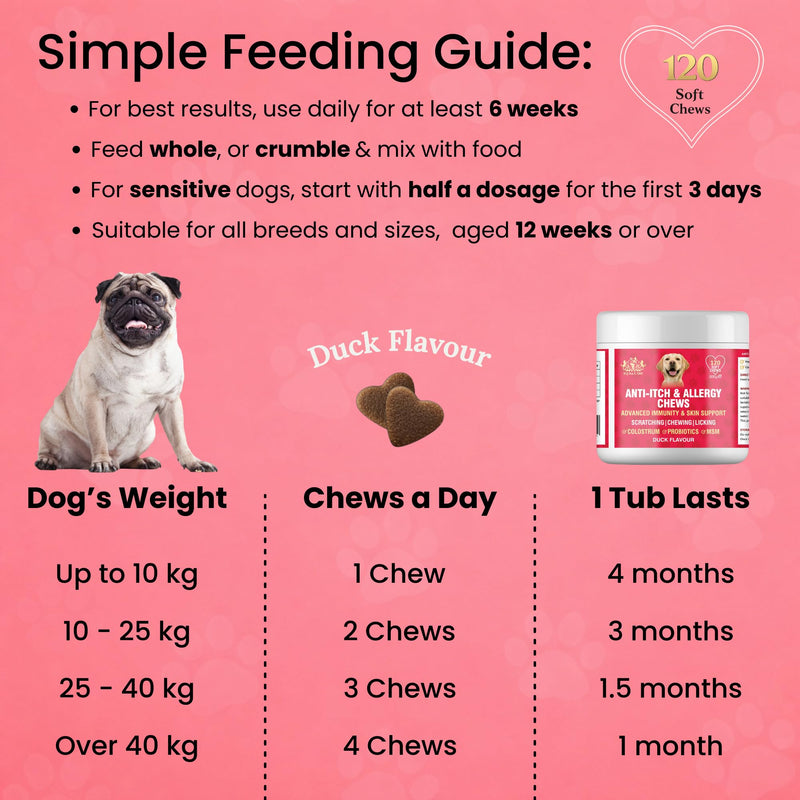 EQ K9 Anti Itch & Allergy Relief for Dogs, Stops Scratching, Paw Licking & Hot Spots, Duck-Flavour Chews, Skin & Coat Relief with Omega 3 & Probiotics, Dog Itchy Skin Relief, Small, Medium, Large Pets