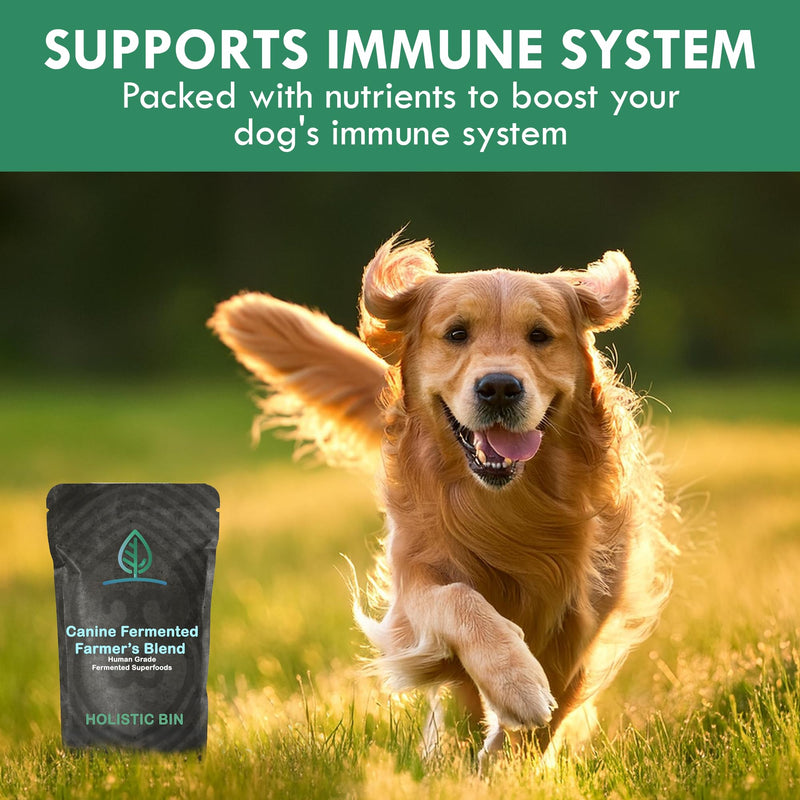 Canine Fermented Farm Supplement by Holistic Bin - Multivitamin Powder with Digestive Enzymes, Fermented Spinach, Pumpkin, Blueberry, Beets, & Turmeric - Dog Vitamins for Overall Health - 50g Powder Fermented Blend - PawsPlanet Australia