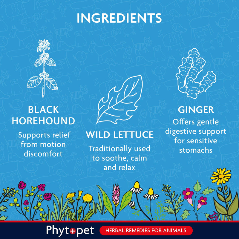 Phytopet Travel, Cat and Dog Anxiety Relief, Easy to Use Herbal Supplements for Dog Travel Sickness and Nerves, 30ml - 100% Herbal Phytopet Pet Supplies