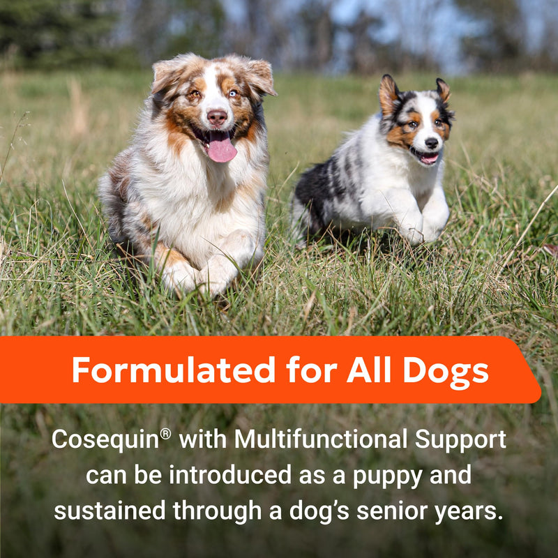 Nutramax Cosequin Joint Health Supplement with Multifunctional Support for Dogs, Soft Chews with Glucosamine, Chondroitin, Omega-3s, and Postbiotics, 90 Count