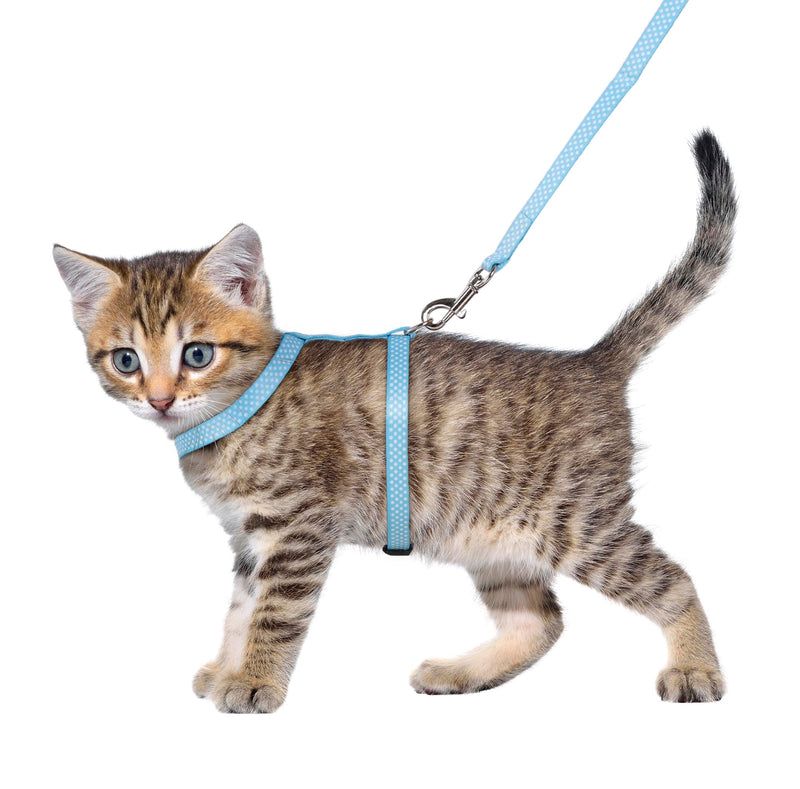 KITTEN HARNESS + LEASH AIWA 15-25CM 10MM ASSORTMENT - BeesActive Australia