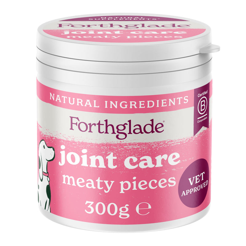 Forthglade Dog Treats, Joint Supplements for Dogs, 300g, Supports Everyday Mobility, Glucosamine & Chondroitin with Green Lipped Mussel, Algae Oil & Turmeric, Natural & Grain Free