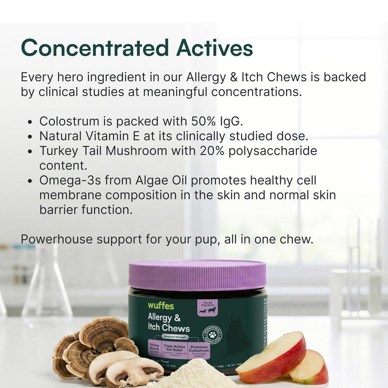Wuffes Allergy & Itch Soft Chews, Dog Allergy Support with Colostrum, Vitamin E and Omega 3s for Dogs, Non-Drowsy Immune and Itchy Skin Support for All Dogs, 60 Soft Chews