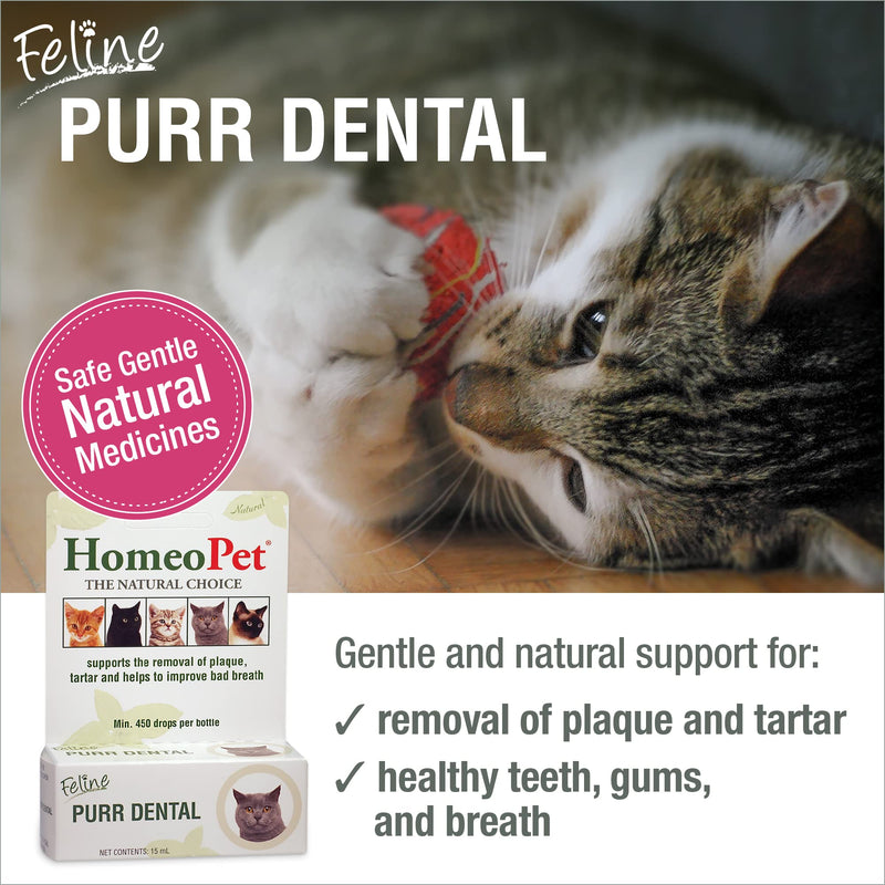 HomeoPet Feline Purr Dental, Safe and Natural Tooth and Dental Care for Cats, Cat Dental Care, 15 Milliliters 15mL - BeesActive Australia