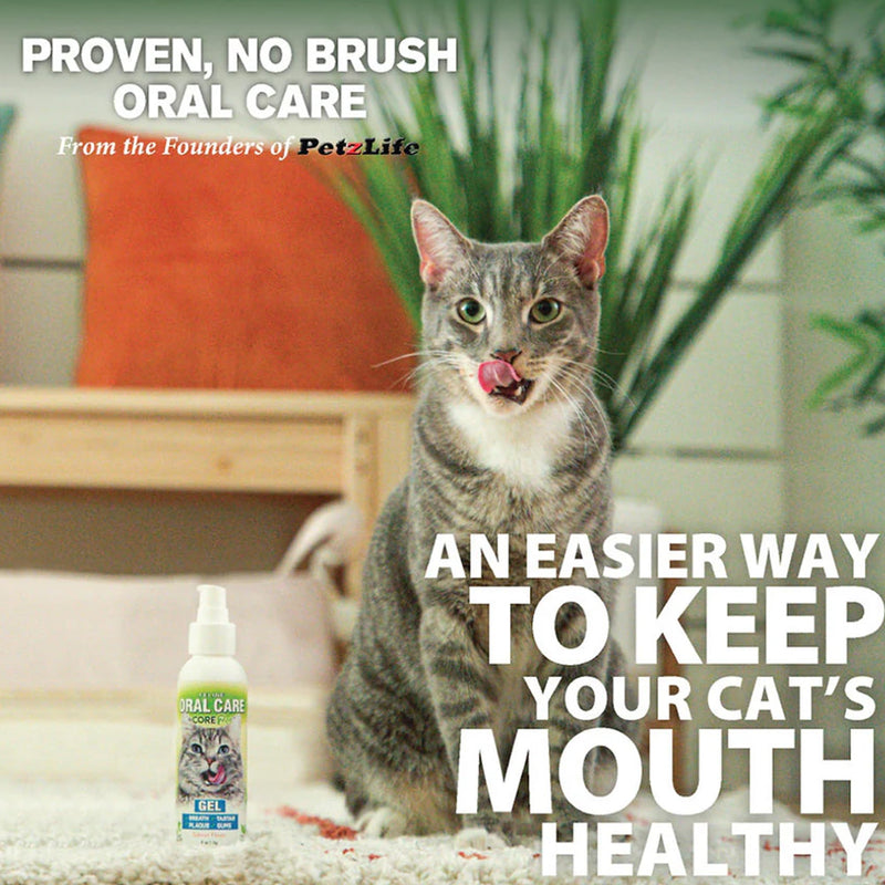 Adore Pet Complete Oral Care Gel for Cats, Salmon, 4 oz 4 Ounce (Pack of 1) Cat Gel Salmon 4 oz