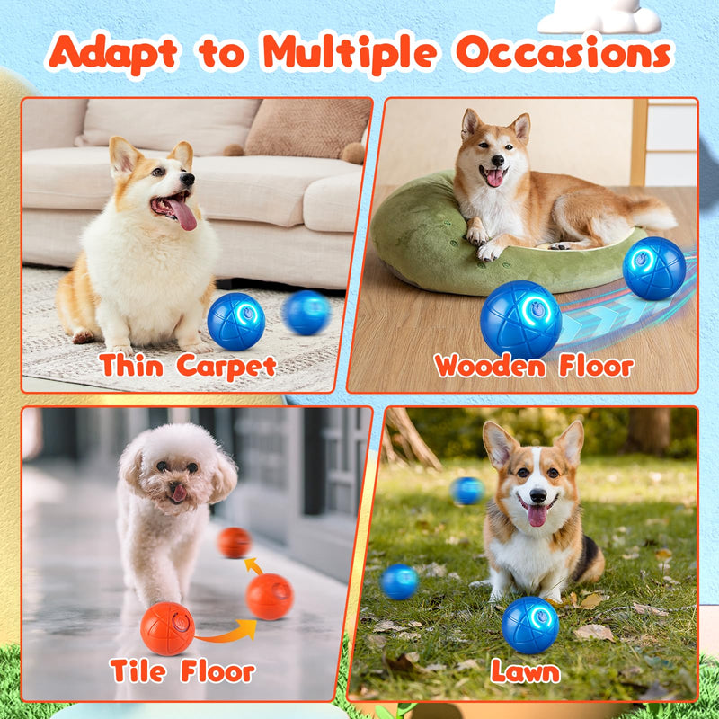 ZRW Shaky Ball Toy for Dogs,Viral Shaky Ball for Dogs,Chewy Viral Bouncing Ball,Automatic Moving Dog Toy Ball for Small, Medium, Large Dogs(Orange+Blue) - BeesActive Australia