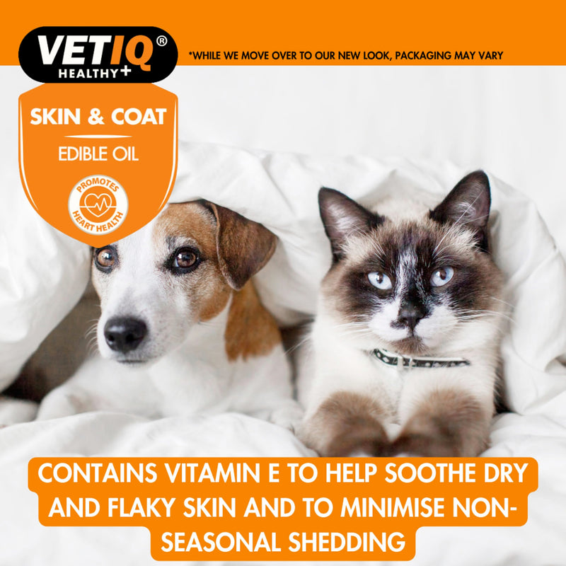 VETIQ Skin & Coat Edible Oil For Cats & Dogs, Grooming Supplement Helps With Healthy Skin & Coat, Itchy Dry Skin and Reduces Shedding, 250 ml (Pack of 1) Skin & coat Oil Dogs & Cats 250ml