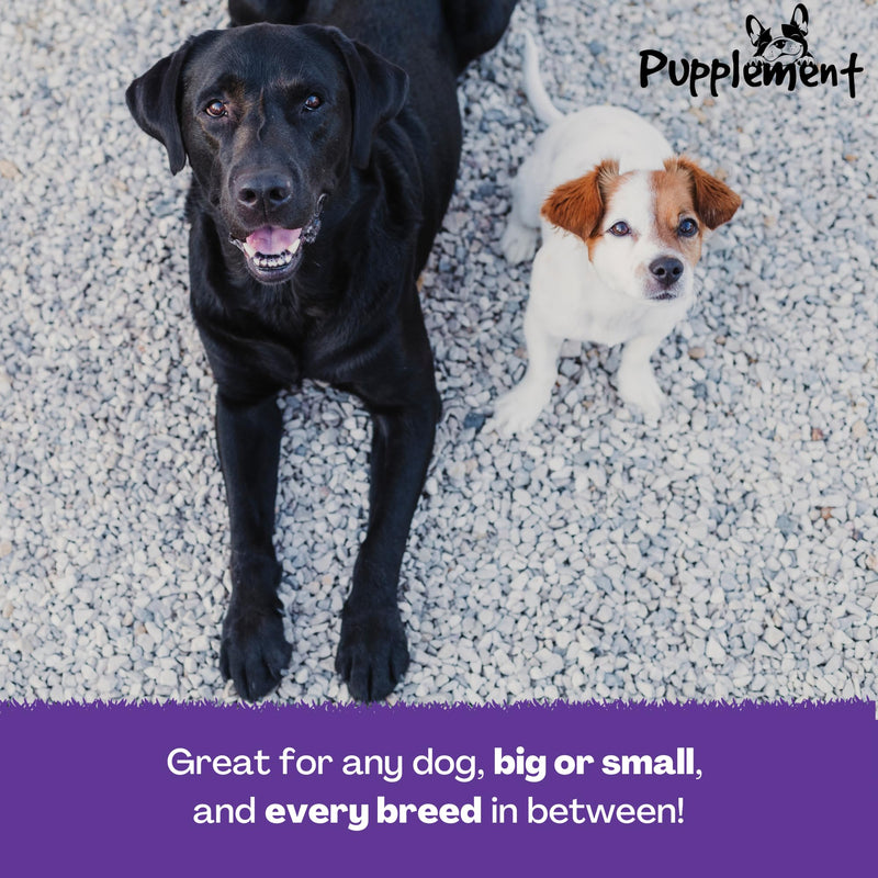 Calm Powder for Dogs - Up to 150 Servings - 130g - Natural Relief for Stress, Reduce Separation Anxiety, Barking, Fear, Reactivity, Travel & Hyperactivity - Calming for All Breeds & Ages Single