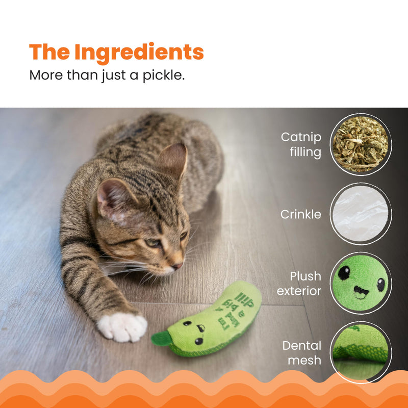 Catstages Crunchy Pickle Kicker Dental Catnip Cat Toy - BeesActive Australia