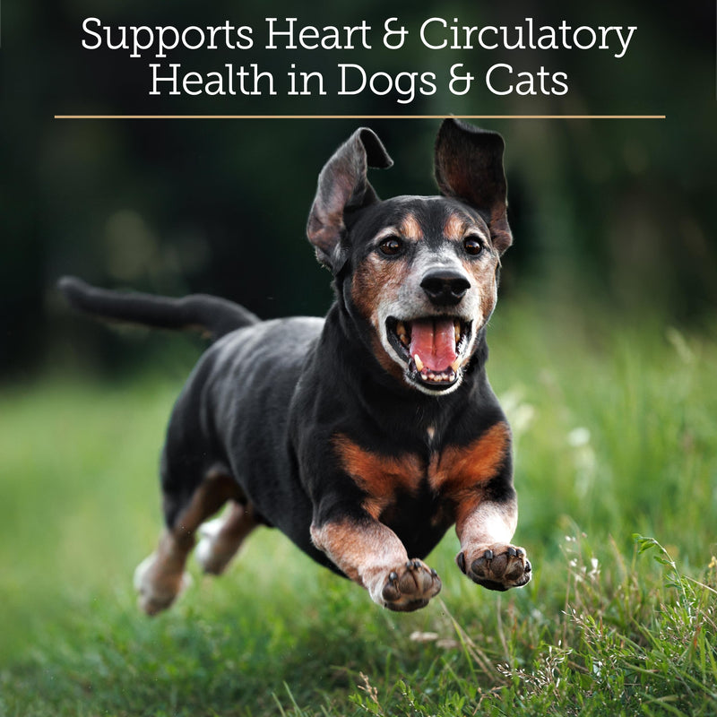 Rx Vitamins CoQ1030 - Coenzyme Q10 for Dogs & Cats - 30ct | 100% Pure Ubiquinone Cat & Dog Heart Supplements - Promotes Cardiovascular Function and Antioxidant Support