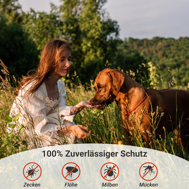 Animal Vita® Spot on for dogs [annual supply] Tick repellent for dogs, reliable tick protection with organic coconut oil and Margosa, 100% natural spot on against ticks, mites and fleas - BeesActive Australia