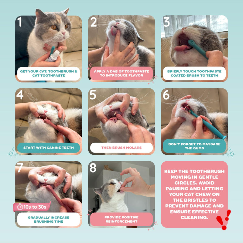 PAWINTOWN Soft Cat Toothbrush Set – Suitable for Dogs – Food Grade Silicone – Dental Care, Teeth Cleaning, Tooth Brushing Kit (Blushing Flamingo)