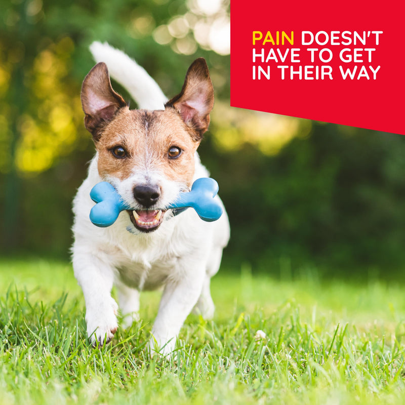 T-Relief Pet Pain Relief Arnica +12 Powerful Natural Medicines Help Ease Muscle Joint & Hip Pain Soreness Stiffness & Injuries Max Fast-Acting Soother for Dogs & Cats - 90 Tablets (2 Pack) - PawsPlanet Australia