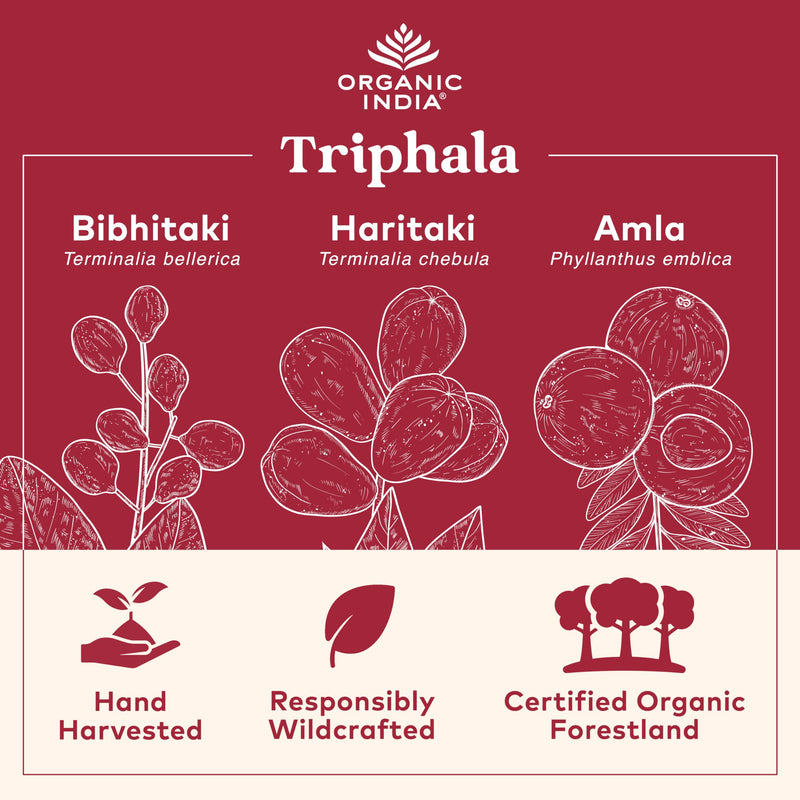 Organic India Triphala Capsules Organic - Herbal Supplement with Amla, Bibhitaki, Haritaki, Digestion & Colon Support, Immune System Support, Adaptogen, Vegan, USDA Certified Organic - 180 Capsules 180 Count (Pack of 1) - BeesActive Australia