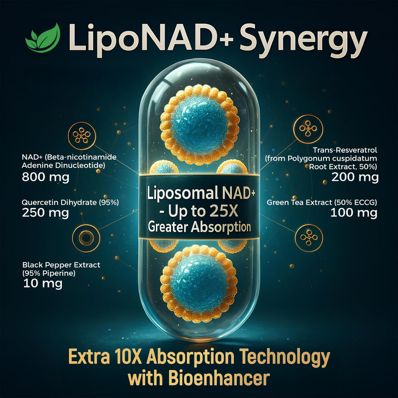 NAD+ Supplement, 1,360mg Max Strength Liposomal | Resveratrol, Quercetin, Green Tea | Cellular Energy & Healthy Aging for Men & Women | 800mg of 100% High Purity NAD+ for Energy, Focus - 90 Capsules