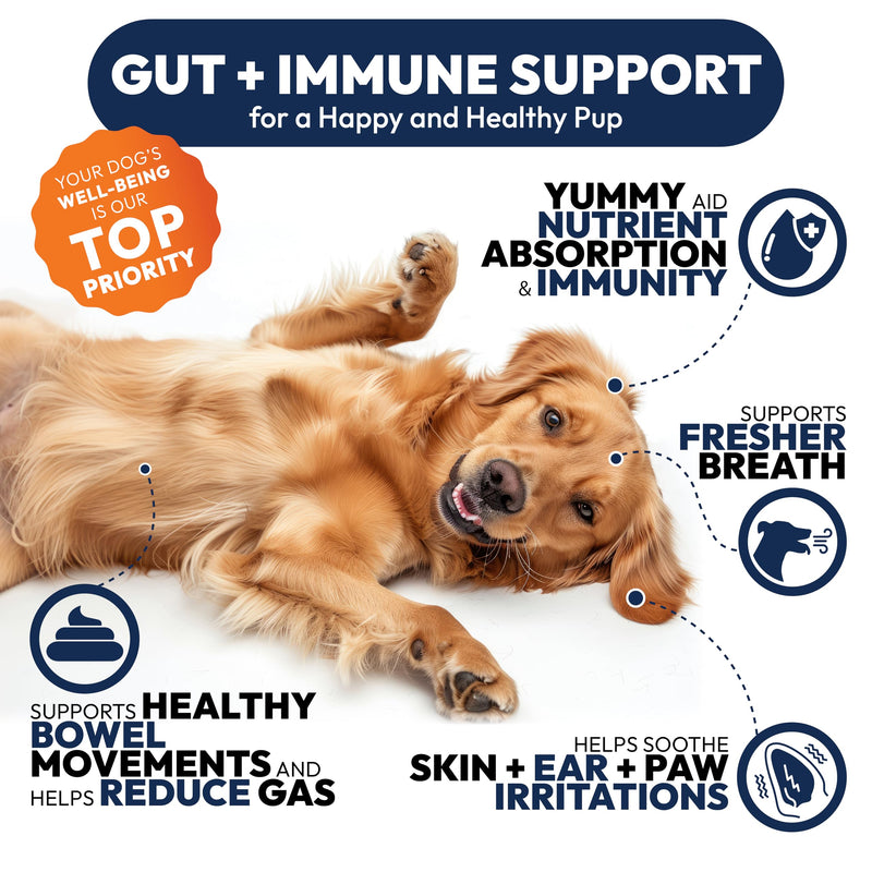 Probiotics for Dogs - 170 Dog Probiotics Chews - Digestive Enzymes & Prebiotics - Support Gut Health, Diarrhea, Gas & Constipation Relief - Itchy Skin, Allergies, Yeast Balance - Advanced Supplement 170 Chews Probiotic