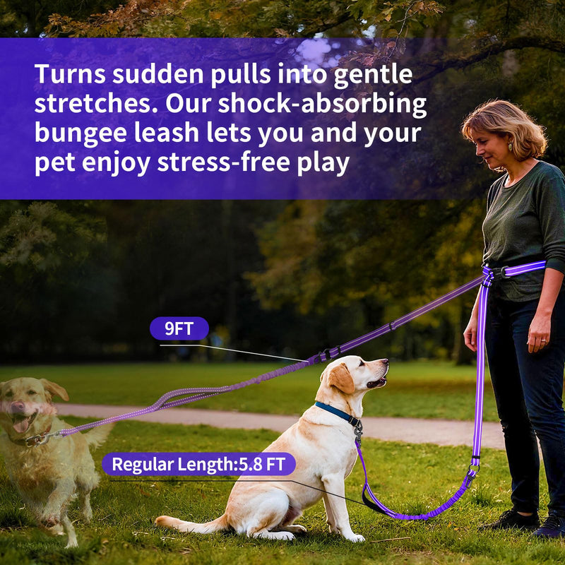 Kazazoo Hands-Free Dog Leash with 6-9FT Adjustable Length - Heavy Duty No Pull Bungee Design, Reflective Safety for Walking, Jogging & Training | Suitable for Medium to Large Dogs Purple L PRUPLE
