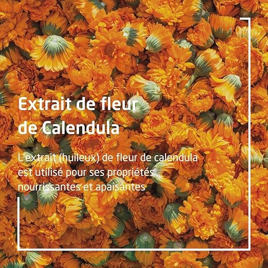 [Official] WELEDA Calendra Massage Oil 100mL For Sensitive Skin Body Massage Oil Delicate Skin Dry Skin Subtle Sweet and Sour Scent Natural Ingredients Organic - BeesActive Australia