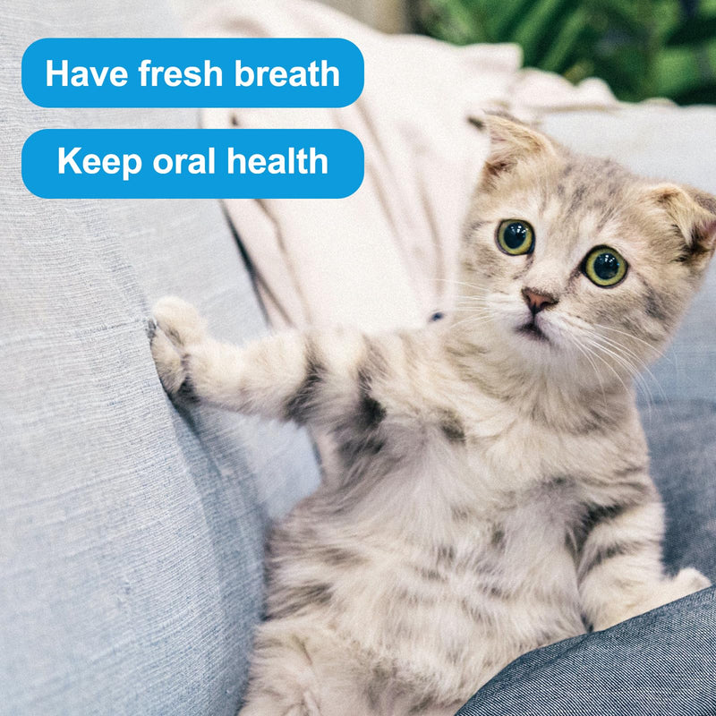 2pcs Dual Sided Cats & Dogs Toothbrushes, Kitten Puppy Toothbrush Pet Teeth Cleaning Brush with Micro Brush Head & Curved Handle Cat Dental Care Supplies to Reduce Plaque Tartar Formation